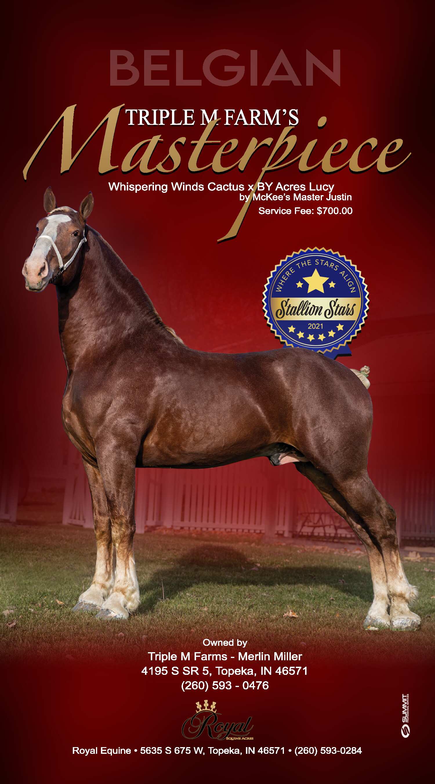 Indiana Belgian Draft Horse Association